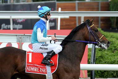 The Japanese stayer collapsed in its stall before dying. (AAP)