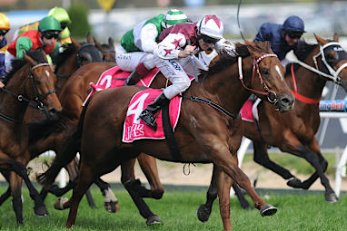Darren Rawiller rides Trust in Gust to glory in the Toorak Handicap.