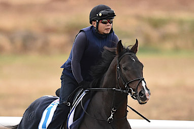 <b>Melbourne Cup favourite Fame Game has eased to $4 with support coming for English horse Trip To Paris.</b><br/><br/>One TAB customer had outlaid $14,500 on the Ed Dunlop-trained Trip To Paris at $8.50 with the second favourite now at $8. As a result, Japanese horse Fame Game has eased from $3.20 while last year's Victoria Derby winner Preferment is the only other runner under double figures at $9.50.<br/><br/>Click through to see the odds and information for all 24 runners in the race that stops the nation. <br/><br/><br/><br/><br/>