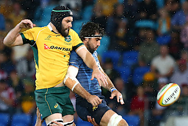 Scott Fardy (19 caps) - Blindside flanker. (AAP)