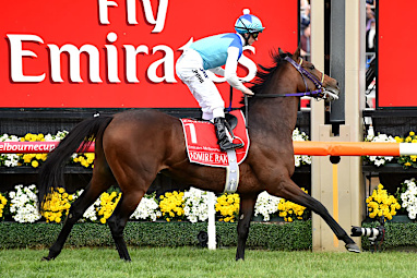 Favourite Admire Rakti died after the race. (AAP)