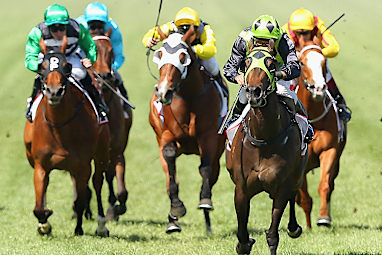 He added another win in race six on Vain Queen.