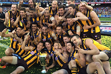 The Hawks have cemented their spot amongst AFL's modern greats.