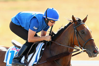 Sky Hunter (William Buick/Saeed Bin Suroor) Barrier 7. 54.5kg. Win/place: $41/$11.