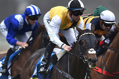 Quest For More (Damian Lane/Roger Charlton) Barrier 21. 53.5kg. Win/place: $101/$26.