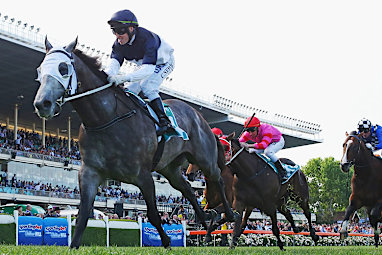 Craig Newitt on Moonovermanhattan wins the Dilmah Exceptional Teas Vase. (Getty)