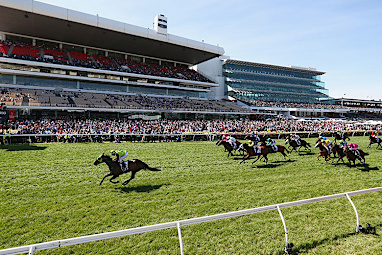 Fans roared Vain Queen home.