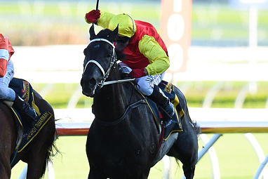 Grand Marshal (Jim Cassidy/Chris Waller) Barrier 15. 53.5kg. Win/place: $41/$11.