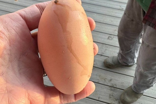 egg discovery inside unusually large egg shared on facebook backyardchickens