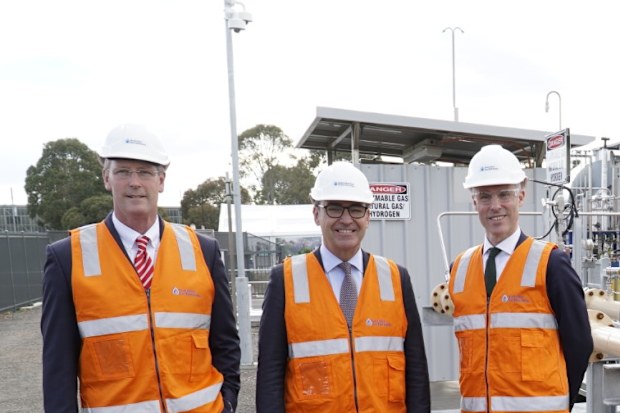 Clean energy: Australian Gas Infrastructure Group promises 100pc green ...