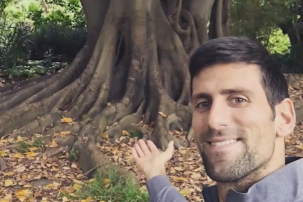 Novak Djokovic with his favourite tree.