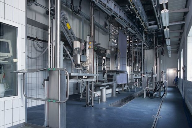 The abattoir worker's injury was one-of-three in Queensland. Image: Getty
