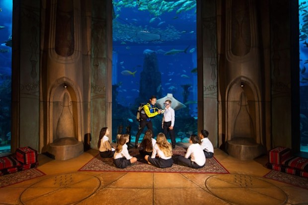 Atlantis Dubai Kids Club. 