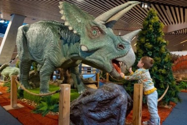 Meet the giant T-Rex at Myer in Melbourne.