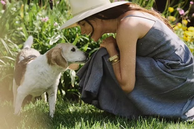 meghan markle rescue dog beagle guy tribute video instagram