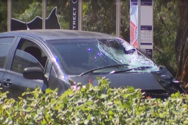 A 67-year-old pedestrian struck and killed by a driver in West Perth has been identified as an award-winning novelist and university professor. Dr Brenda Walker was crossing Kings Park Road at Kings Park, about 800 metres away from her home, when she was hit yesterday morning. 