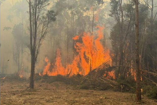 The Otways fire continues to burn through the landscape near Gellibrand.