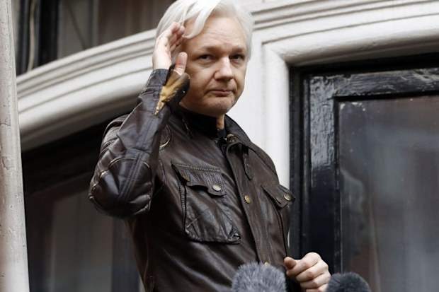 Julian Assange has been holed up in the Ecuador embassy in London since 2012.