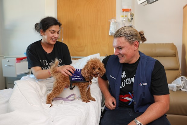 Matt and Daisy visiting a mum-to-be in the Mater Mothers' Hospital.