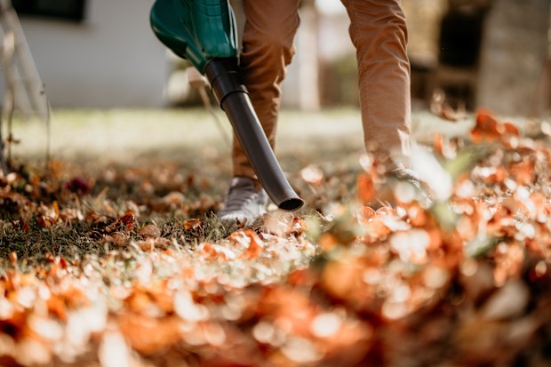 Leaf blower neighbourhood dispute