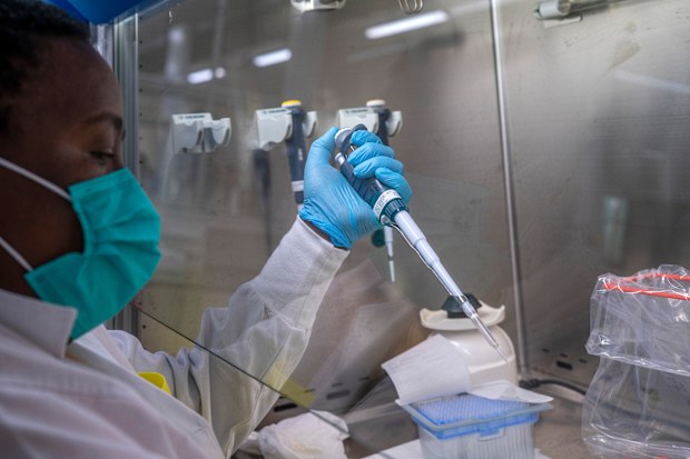 Puseletso Lesofi prepares to sequence COVID-19 omicron samples at the Ndlovu Research Center in Elandsdoorn, South Africa Wednesday Dec. 8, 2021.  