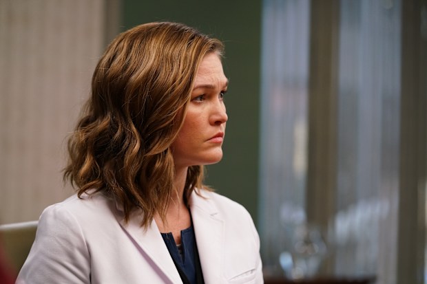 Julia Stiles The God Comitttee