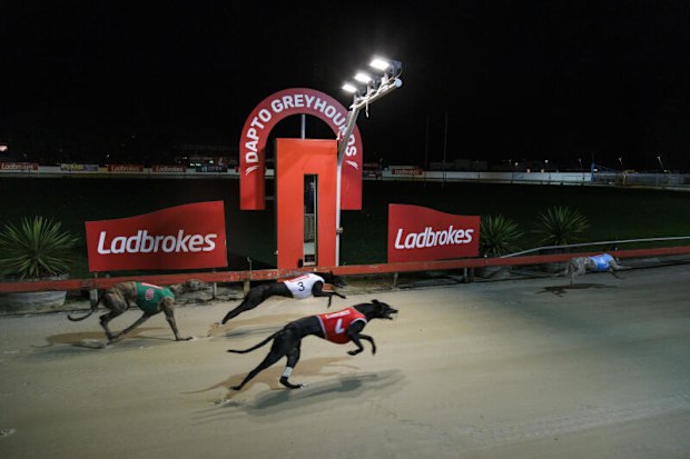 Dapto Greyhounds aka 'Dapto Dogs' is closing.