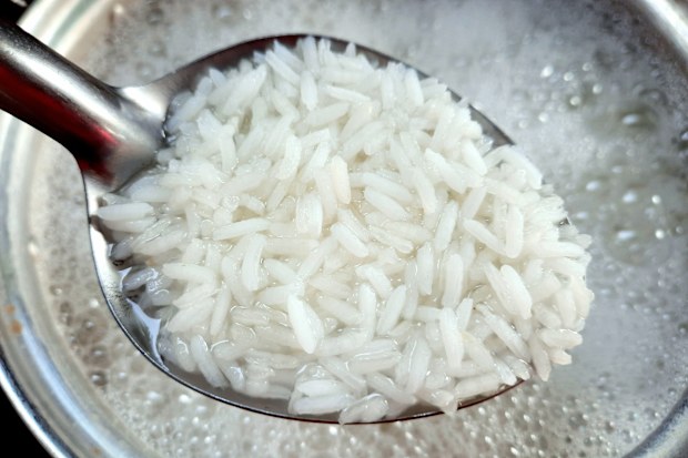 rice