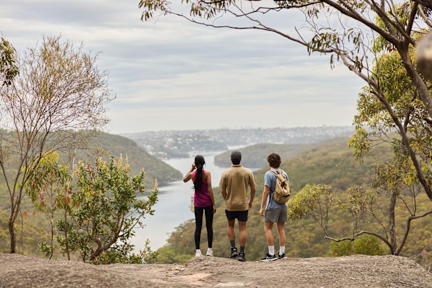 The Bluff Lookout in Garigal National Park