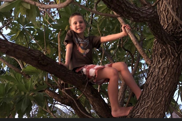 Zane up a tree