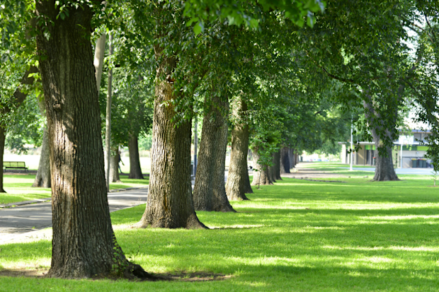 Edinburgh Gardens.