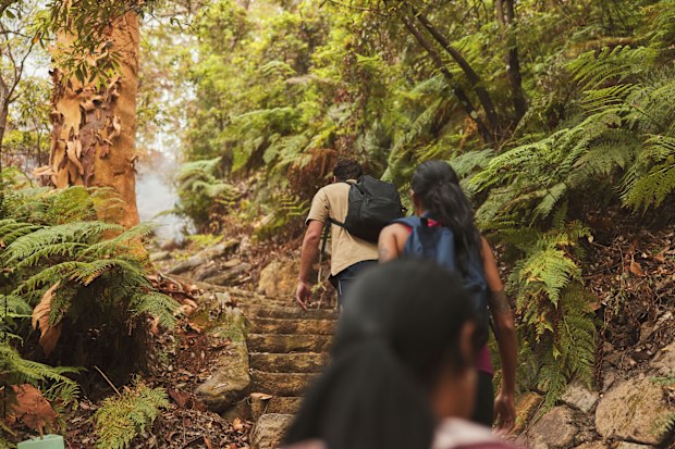 Friends hiking the Casuarina Track in Garigal National Park in Sydney