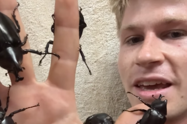 Robert Irwin shocks Instagram followers with a video of terrifying bugs all over him