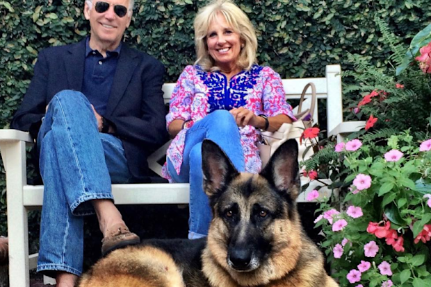 Joe and Jill Biden German Shepherd