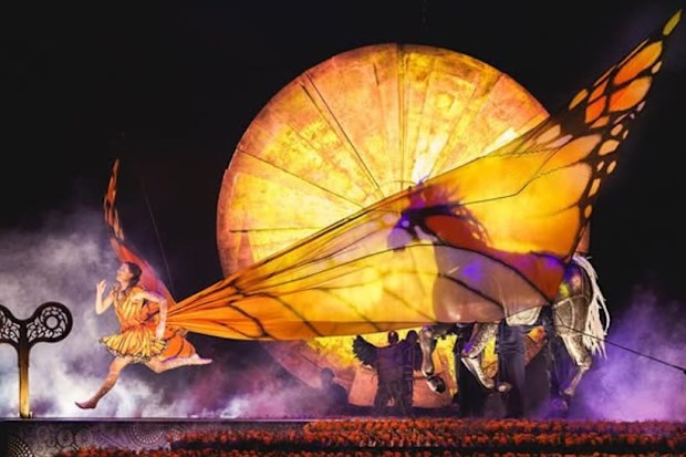 helena merten luzia cirque gold coast girl