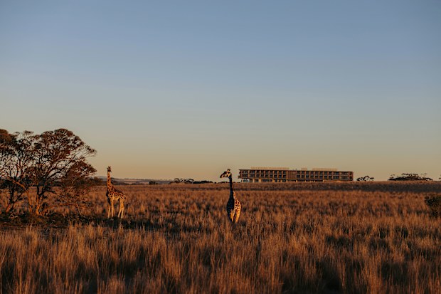 Monarto Safari Park
