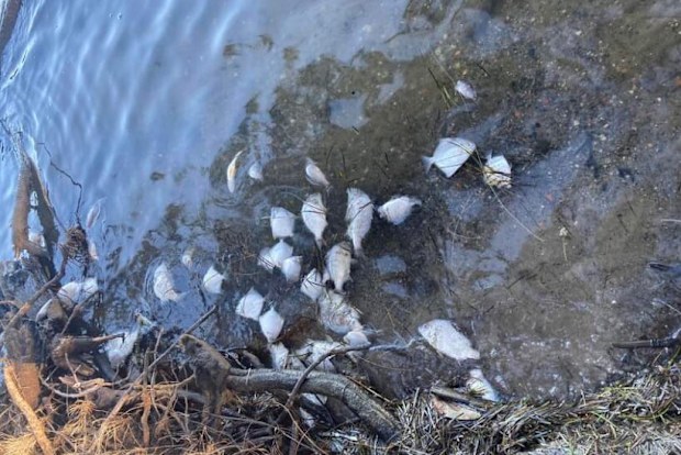 The EPA are investigating the cause of death.