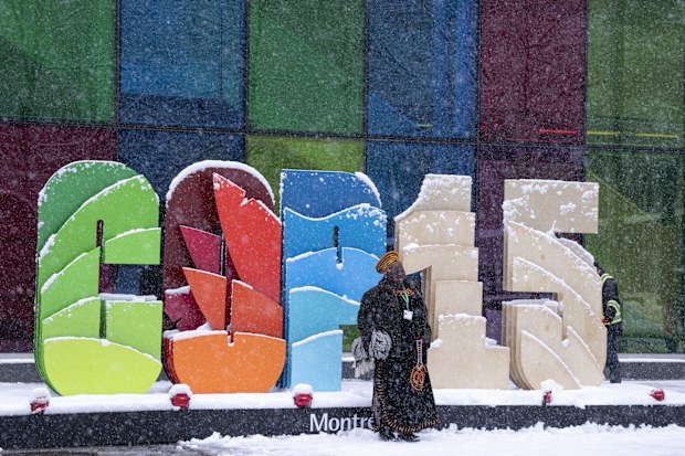 Delegates take souvenir photos during a snowfall outside the convention centre at the COP15 UN conference on biodiversity in Montreal.