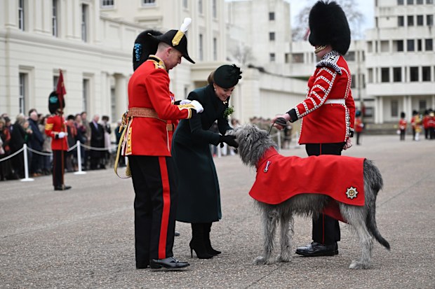 LONDON, ENGLAND - MARCH 17: Catherine, Princess of Wales meets regimental mascot Turlough Mór, Irish Wolfhound and his handler Drummer Joseph Aldridge during the 2025 Irish Guards' St. Patrick's Day Parade at Wellington Barracks on March 17, 2025 in London, England. Catherine, Princess of Wales attends the parade as Colonel of the Regiment. (Photo by  Eddie Mulholland - WPA Pool/Getty Images)