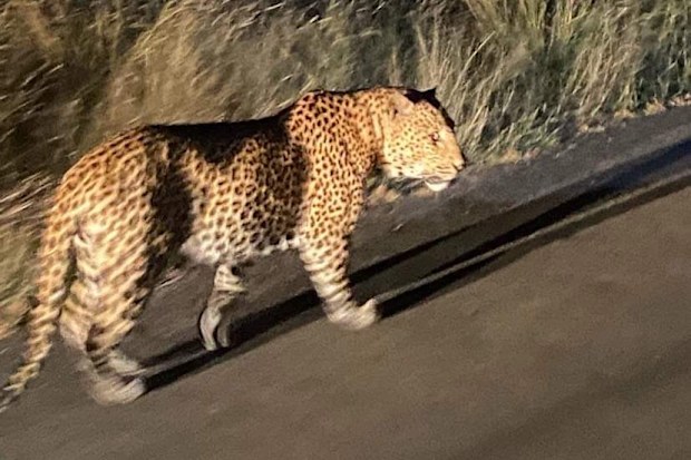 south africa