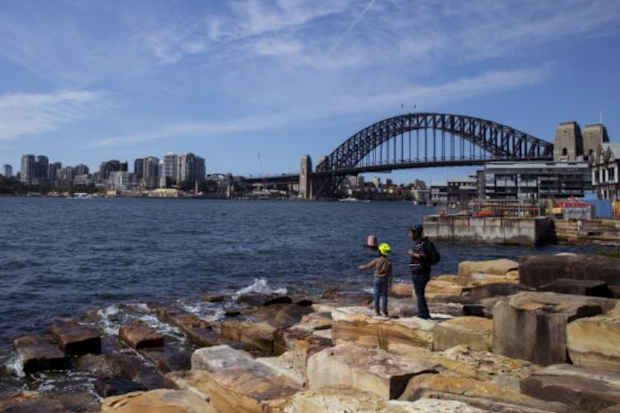 The Sydney Harbour Bridge as seen from Barangaroo Reserve in Sydney
