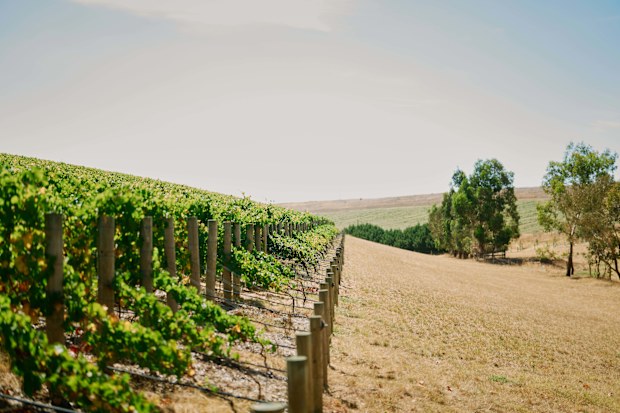 Wine by Farr was named the nation's best vineyard