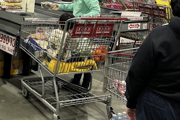 costco wholesale warehouse marsden park sydney nsw 