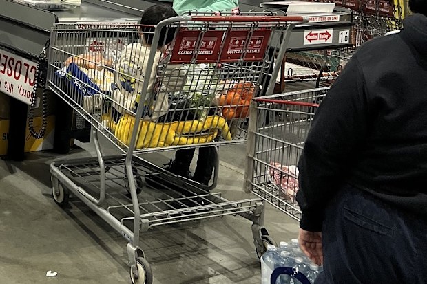 costco wholesale warehouse marsden park sydney nsw 