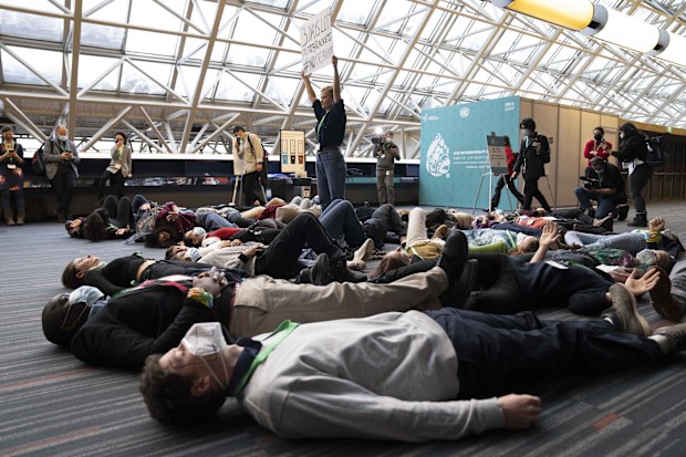 Members of the Global Youth Biodiversity Network demonstrate in the halls of the convention center at the COP15 UN conference on biodiversity.