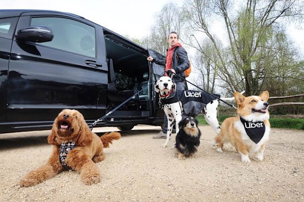 Uber Pets
