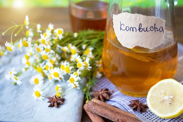 kombucha warning after explodes in fridge TikTok