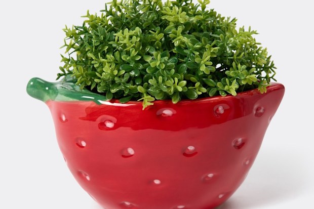 Strawberry faux plant