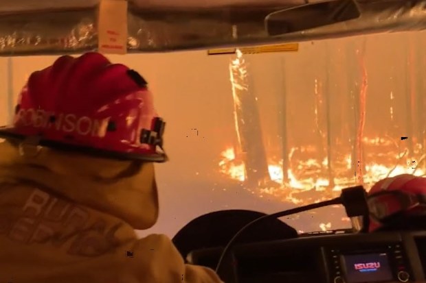 Bushfire 2019
