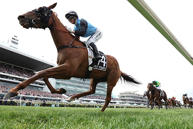 MELBOURNE, AUSTRALIA - 4 DE NOVIEMBRE: Jamie Melham monta el Half Yours # 14 para ganar la séptima carrera de la Copa Lexus Melbourne durante el Día de la Copa de Melbourne en el hipódromo de Flemington el 4 de noviembre de 2025 en Melbourne, Australia. (Foto de Robert Cianflone/Getty Images)